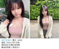 新竹外送茶#星星  159cm D奶 20歲6K